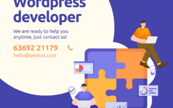wordpress developer