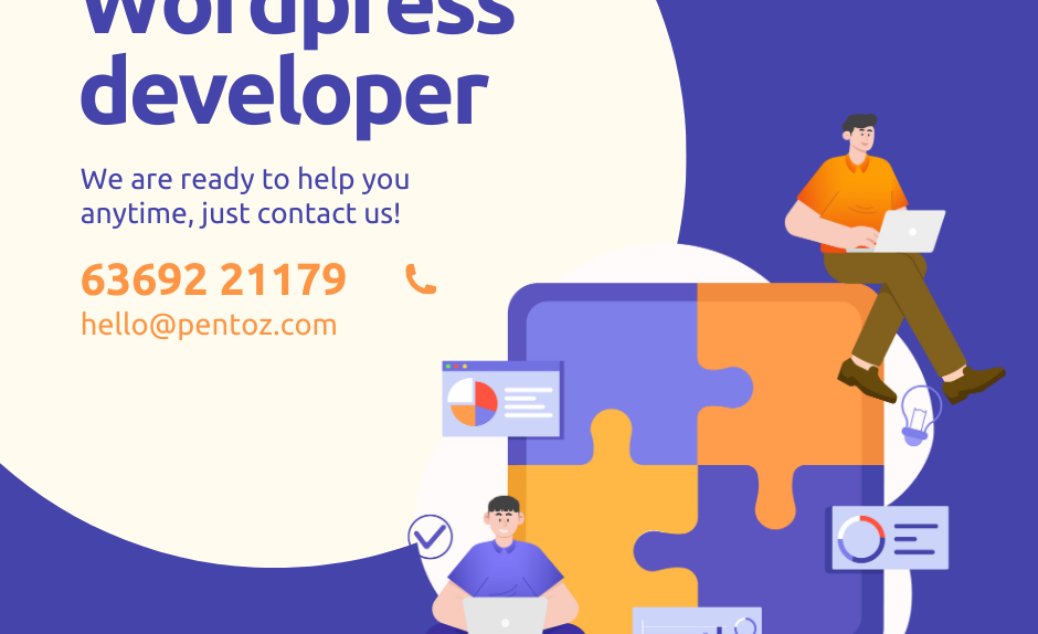 wordpress developer