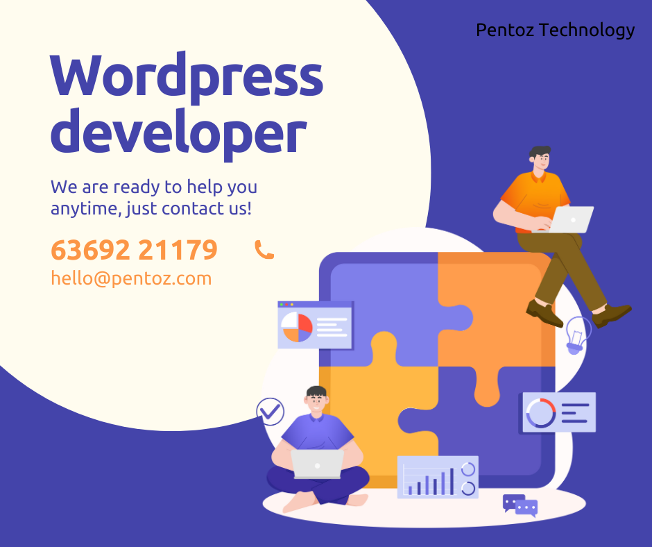 WordPress developers-contact@pentoz technology